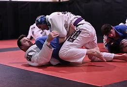 Image result for Brazilian Jiu-Jitsu