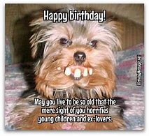 Image result for Funny Birthday Young Girl Memes