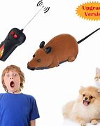 Image result for Remote Control Rat