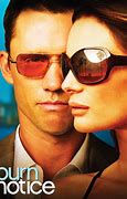 Image result for Burn Notice Action