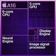 Image result for Apple A16 Block Diagram