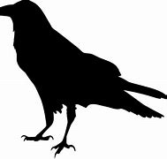 Image result for Ravens Logo Clip Art