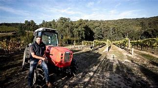 Image result for Hoddles+Creek+Wickhams+Road+Yarra+Valley