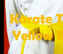 Image result for Kids Karate Belts