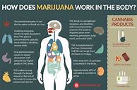 Image result for Marijuana Risks