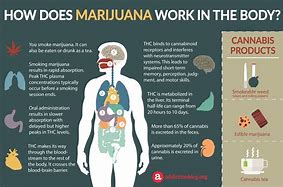 Image result for Effects of Marijuana On Physical Health