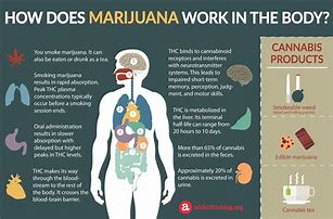 Image result for Medical Marijuana Side Effects