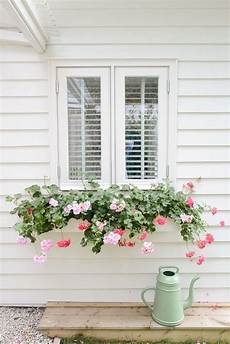 fioriere per davanzale finestra subtle white window box with cascading flowers green fioriere per davanzale finestra subtle white window box with cascading flowers green