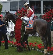 Image result for Kentucky Derby Run for the Roses