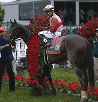 Image result for Kentucky Derby Run for the Roses