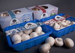 Image result for Recycled Mushroom Packaging