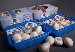 Image result for Special Mushroom Packaging