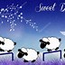 Image result for Dulces Sueños Amor