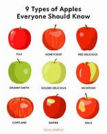 Image result for Height of an Apple Fruit