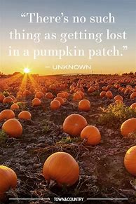 Image result for Moonlight Pumpkin Quotes