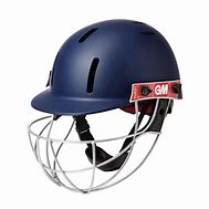 Image result for Cricket Helmet