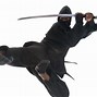 Image result for Ninjutsu Styles