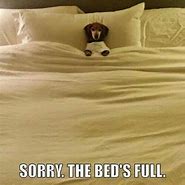 Image result for Dog Bed Meme