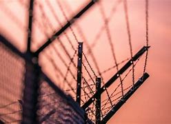 Image result for No Climb Wire Fence