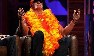 Image result for Hulk Hogan Birthday Meme
