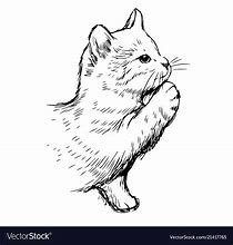 Image result for Cat Hand Vector