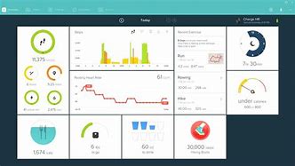 Image result for Fitbit Interface