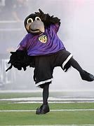 Image result for Ravens Mascot