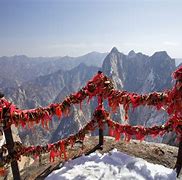 Image result for Mount Hua Wildlife