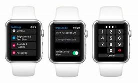 Image result for How to Enter Password On Apple Watch