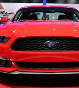 Image result for show mustangs