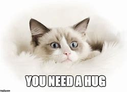Image result for Funny You Need a Hug Meme