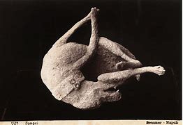 Image result for Dog in Pompeii