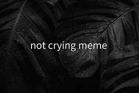 Image result for Noooo Crying Meme