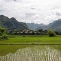 Image result for Rural Vietnam