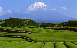 Image result for Japan Country Landscape