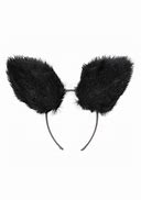 Image result for Cat Ears Accessories