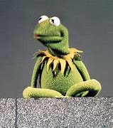 Image result for The Muppets Kermit the Frog