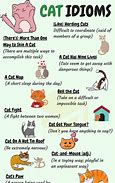 Image result for Idioms and Sayings