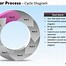 Image result for Circular Cycle Chart