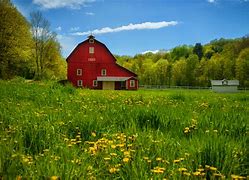 Image result for County Summer Background