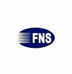 Image result for FNS Inc