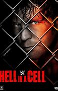 Image result for Hell in a Cell Broken Top