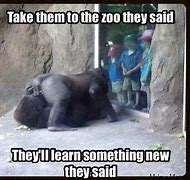 Image result for Bronx Zoo Meme
