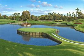 Image result for Golf Hole Pictures