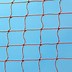 Image result for Badminton