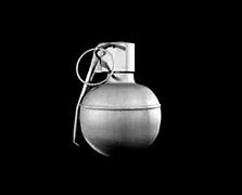 Image result for Image of a M67 Frag Grenade