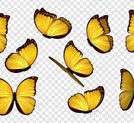 Image result for Colorful Butterfly Drawings in Yellow