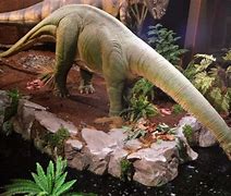 Image result for Dinamation Dinosaurs