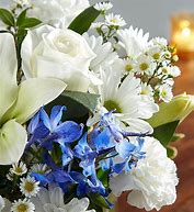 Image result for 148683L Blue and White Healing Tears