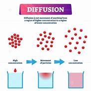 Image result for What Is Diffusion